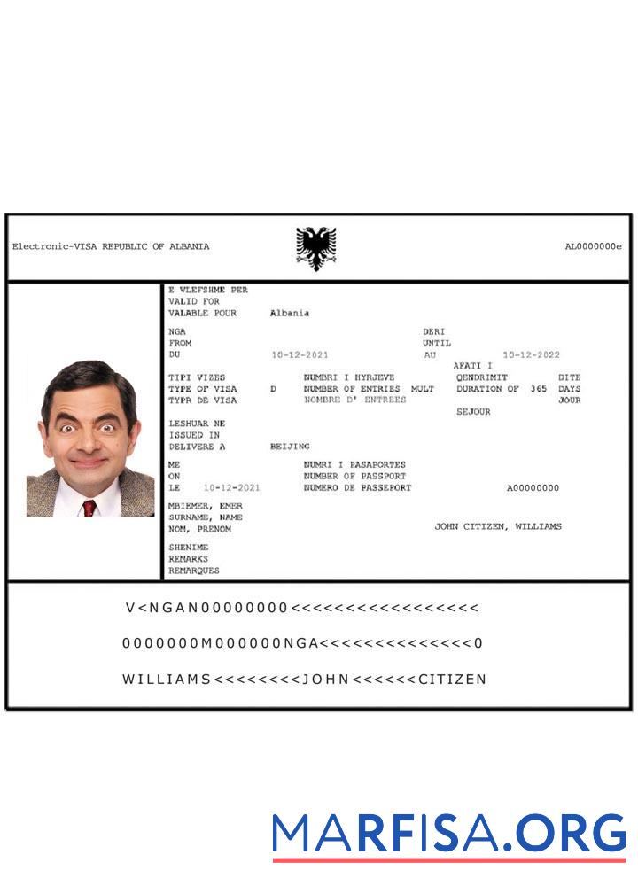 Realistic Albania e visa download for verification